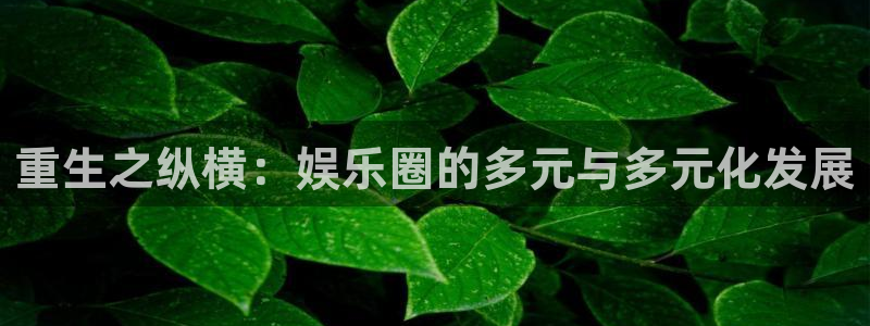 天顺娱乐