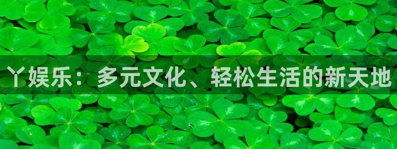 天顺娱乐