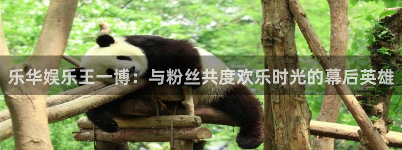 天顺娱乐
