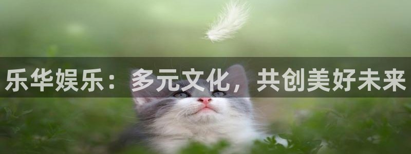 天顺娱乐
