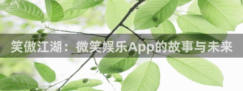天顺娱乐